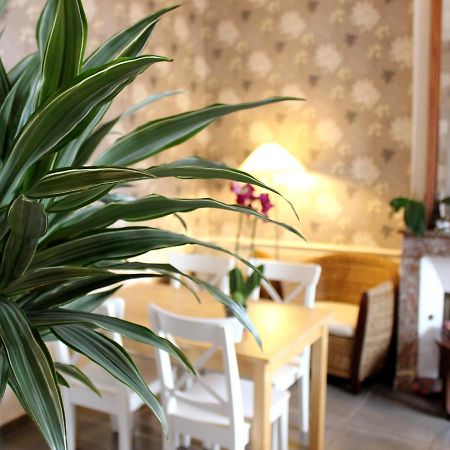 Hotel Les Aubepines Illiers-Combray Kültér fotó